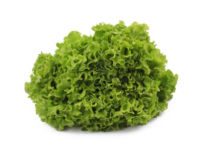 Набор салатной зелени 500 г - купить в Уядах