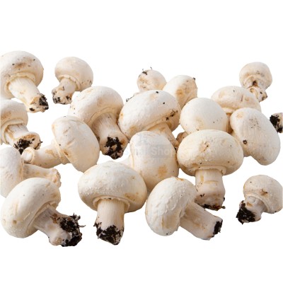 Шампиньоны свежие 500 г - купить в Уядах